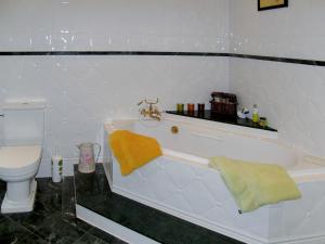 岑平Apartment Hortensie - ZEM108 by Interhome的带浴缸和卫生间的浴室。