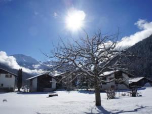 FieschertalApartment Sweda by Interhome的雪中一棵树,太阳在后面