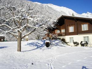 FieschertalApartment Sweda by Interhome的前面有一棵树,有雪盖的房子