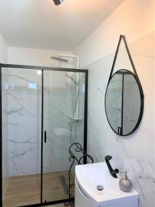 锡纳亚Holiday Home in Sinaia的带淋浴、盥洗盆和镜子的浴室