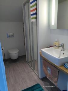 SliteGothem Viby Bed&Breakfast的浴室配有盥洗盆、淋浴和卫生间