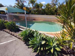 布里斯班阿斯普利日落汽车旅馆的围栏前的植物游泳池
