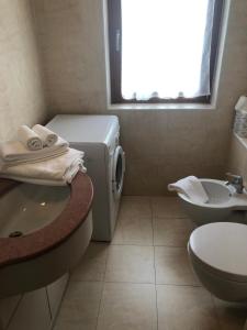 摩德纳迪-坎皮格里奥Appartamento del rosengarten的一间带水槽和洗衣机的浴室