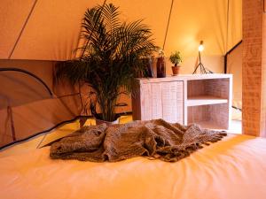 Glamping Illa de Arousa平面图