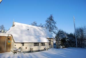 JistrumVakantiehuis "It koaihûs"的屋顶上白雪的房子
