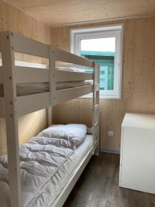 索尔陶Naturcamping Lüneburger Heide - Chalets & Tiny Häuser的一间卧室设有两张双层床和一扇窗户。