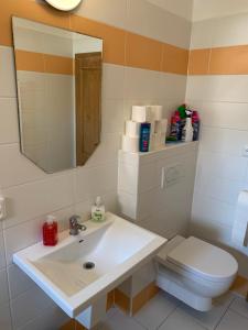 米库洛夫Apartmán Alva 3的一间带水槽、卫生间和镜子的浴室