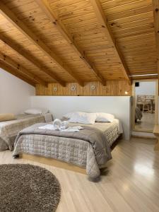 特雷齐蒂利亚斯Pousada Pattis的一间卧室设有一张大床和木制天花板