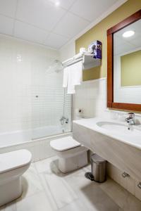 奥苏纳Hotel Las Casas del Duque的一间带水槽、卫生间和镜子的浴室
