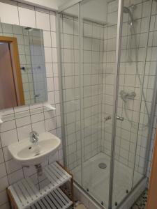 布尔格-罗伊兰德Haus Wangen Studio的带淋浴和盥洗盆的浴室