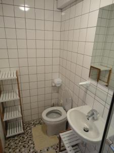 布尔格-罗伊兰德Haus Wangen Studio的一间带卫生间和水槽的浴室