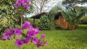 阿拉胡埃拉塔卡科里生态旅舍的一座花园,在房子前面种有紫色的花朵