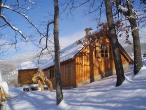 普列夫利亚Guest House Tara Canyon的雪中树下的小木屋