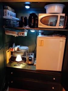 OkaChambre bord de l'eau oka的厨房配有微波炉和冰箱。