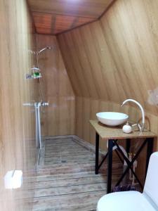伊杰万Yenokavan Glamping的一间带水槽和淋浴的浴室