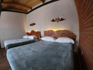 多洛雷斯-伊达尔戈Hotel Viñedo los Arcángeles的一间卧室,配有两张床