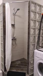 鲍里斯皮尔Fly Up Home apartment的浴室内配有淋浴帘。