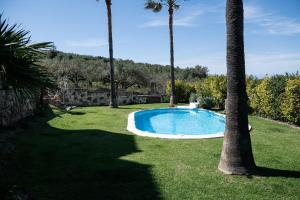 埃亚玛琳娜奈奇多Andromia Studios & Apartments的棕榈树庭院内的游泳池