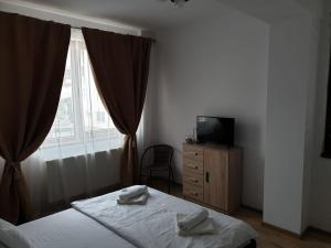 北马马亚-讷沃达里Briza Marii的一间卧室设有一张床、一台电视和一个窗口。