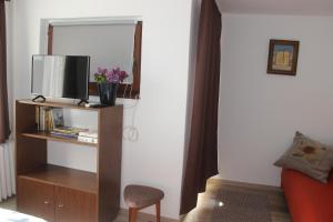 圣安德烈埃里卡酒店的配有电视、椅子和镜子的客房