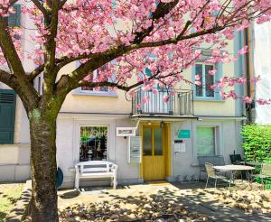 圣加仑CityLodge St Gallen - 2 min to Marktplatz的一座建筑物前有粉红色花的树
