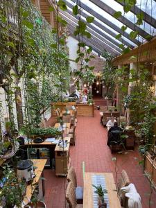 锡吉什瓦拉阿尔特博斯特旅馆的温室,配有桌椅和盆栽植物