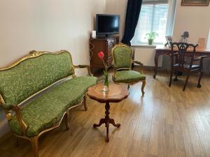 霍茹夫APARTMENT SILESIAN STADIUM and PARK的客厅配有沙发、两把椅子和一张桌子
