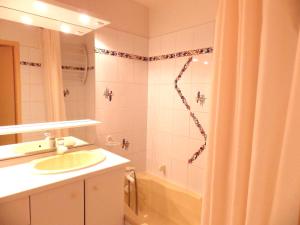 里蒙纽耶桑特内菲洛克公寓的带淋浴、盥洗盆和浴缸的浴室