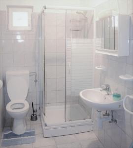 伦Apartmani Marko的带淋浴、卫生间和盥洗盆的浴室