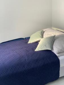 比得哥什Apartament Fordon przy Onkologii的一张蓝色的床,上面有三个枕头