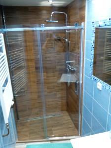 亚希莫夫Apartmán Albreit 1的浴室里设有玻璃门淋浴