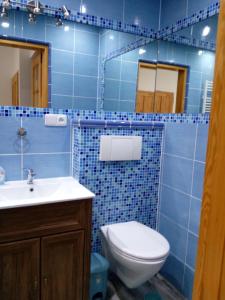 亚希莫夫Apartmán Albreit 1的蓝色瓷砖浴室设有卫生间和水槽