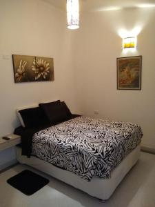 巴兰基亚La Habitación Perfecta的卧室配有黑色和白色的被子。