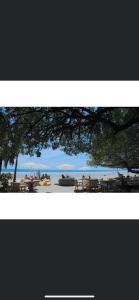 萨玛拉LA DOLCE VITA - on the Beach - Samara的享有海滩美景,设有桌子和一棵树