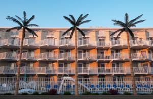 威尔伍德克拉斯特夏利马尔度假酒店的一座棕榈树建筑