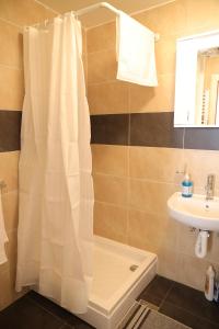 新瓦罗什Apartman Rastko的浴室配有淋浴帘和盥洗盆。