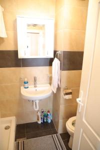 新瓦罗什Apartman Rastko的一间带水槽、镜子和卫生间的浴室