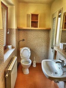 罗格坡曼戈唐Predel House的一间带卫生间和水槽的浴室