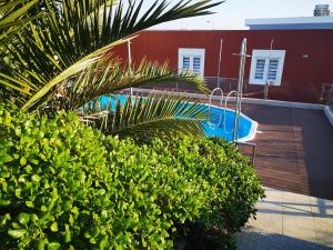 马夫拉Family Surf Home - Bungalows的一座游泳池,旁边是一座棕榈树