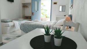 阿里克海滩Sunny Studios Naxos的一间白色的房间,桌子上放着两盆植物
