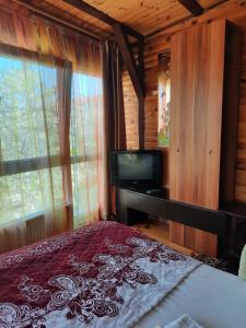 敖德萨奇特科酒店的小屋内一间卧室配有一张床和电视