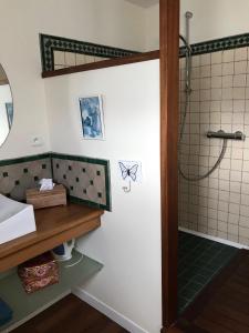 巴约讷Péniche DJEBELLE的带淋浴和盥洗盆的浴室