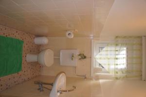 弗拉塔赫Appartementhaus Alpina的一间带卫生间、水槽和窗户的浴室