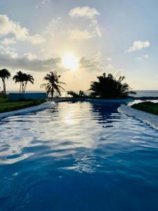 里奥圣胡安Relax On The Caribbean的一座棕榈树和海洋游泳池