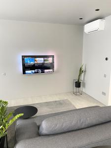 伊万诺-弗兰科夫斯克Caсtus Apartments 1的客厅配有沙发和墙上的电视