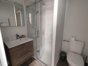 阿姆博斯Les Charmilles的带淋浴、卫生间和盥洗盆的浴室