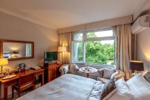 波杰布拉迪Solitaire的配有一张床、一张书桌和一扇窗户的酒店客房
