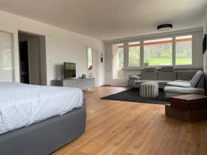 费尔德基希Skyloft Apartment Feldkirch的一间卧室设有一张床和一间客厅。