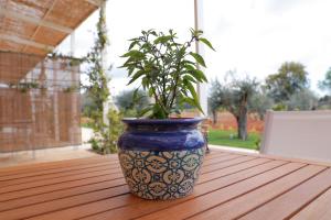 阿莱萨诺Tenuta Cesarina的蓝白花瓶,桌子上放着植物