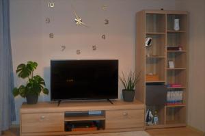 马佐夫舍地区新庄园Apartament Modlin的客厅设有电视,位于木制娱乐中心